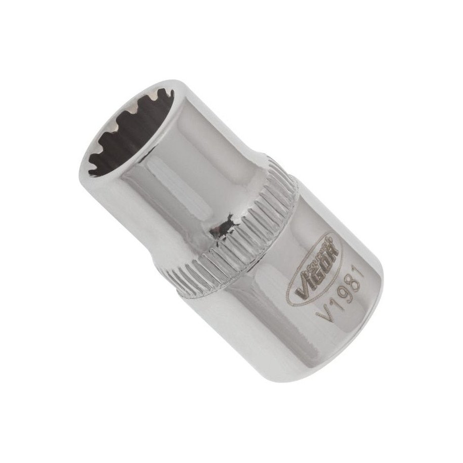 VIGOR 1/4", 8mm universālā muciņa, garums 25mm